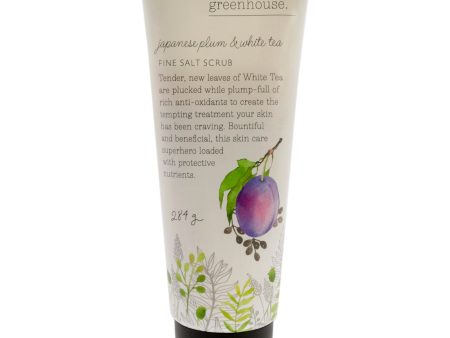 The Cottage Greenhouse Fine Salt Scrub - Japanese Plum and White Tea by The Cottage Greenhouse for Unisex - 10 oz Scrub Supply